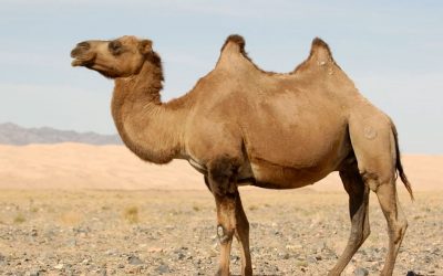 How To Get The Most Out Of Your New Website