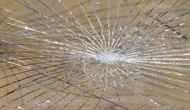 Welcome to the Jungle